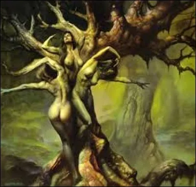 What is the name of this creature ?