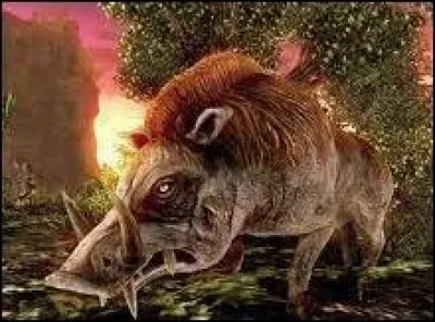 What is the name of this creature ?