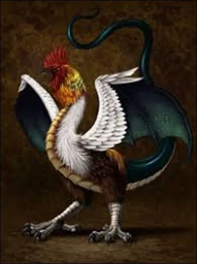 What is the name of this creature ?