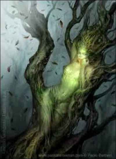 What is the name of this creature ?