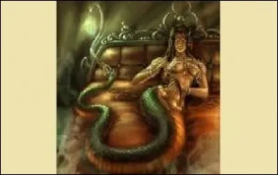 What is the name of this creature ?