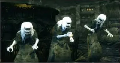 What is the name of this creature ?