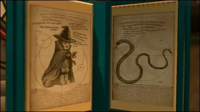 Can we speak fork-language