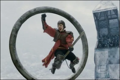 The sport practiced is Quidditch