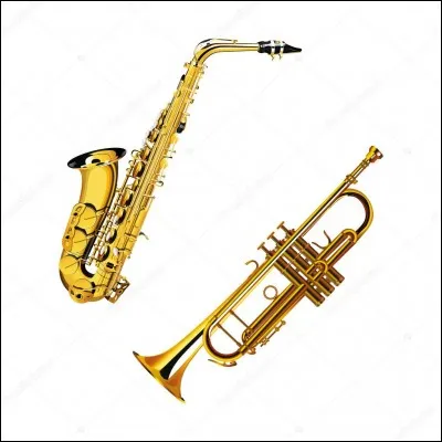 David can play the trumpet and the saxophone.  he has great voice.