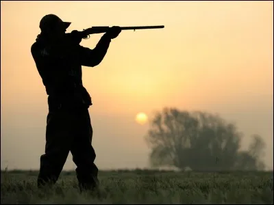 Hunting is an activity practiced by the main character.
