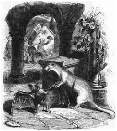 To whom do we owe the fable The Bat and the Two Weasels?