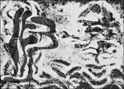 Who is the painter who made this painting ?