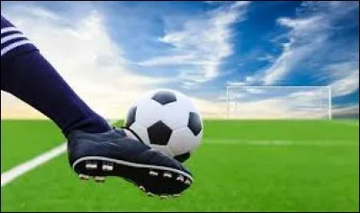 What day will the 2018 World Cup final take place?