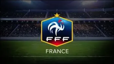 Which group will the French team be in?