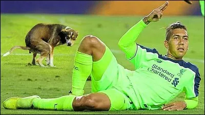 It will take place in Russia from June 14 to July 15, 2018.