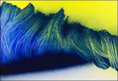 Who made this painting ?