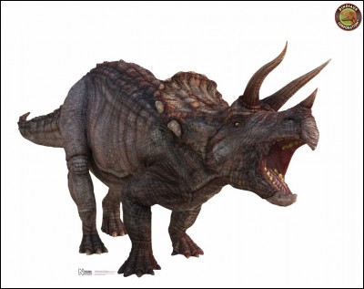 What is the number of short horns and long horns that Triceratops have?