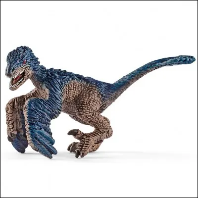 Do Velociraptors have feathers ?