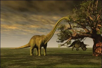 What is the official/real name of Brontosaurus ?