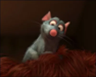 What is the name of this chef ?