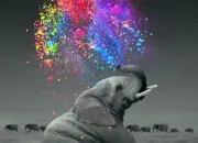 Quiz Culture : Testez votre mémoire d'éléphant !