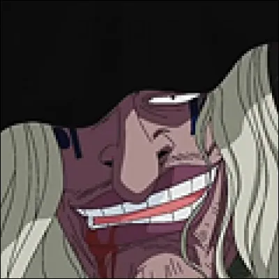 What is the name of this pirate ?