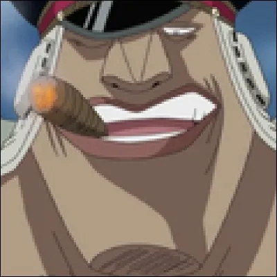 What is the name of this pirate ?