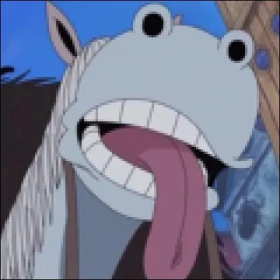 What is the name of this pirate ?