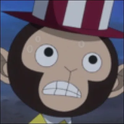 What is the name of this beast ?