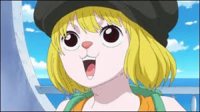 What is the name of this beast ?