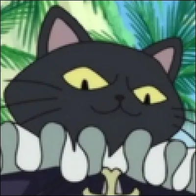 What is the name of this beast ?