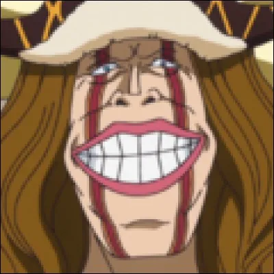 What is the name of this pirate ?