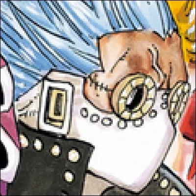 What is the name of this pirate ?