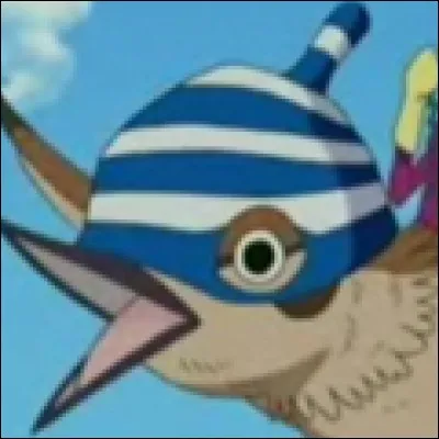 What is the name of this pirate ?