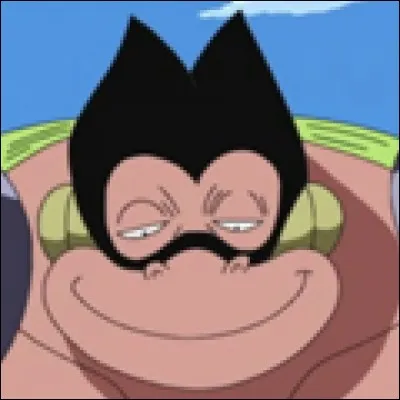 What is the name of this pirate ?