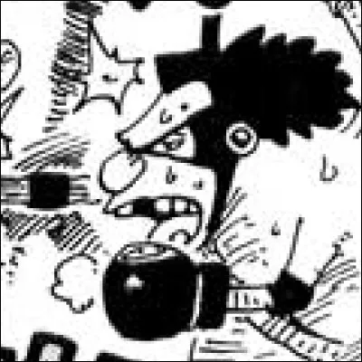 What is the name of this pirate ?