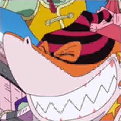 What is the name of this pirate ?