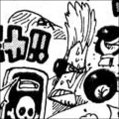 What is the name of this pirate ?