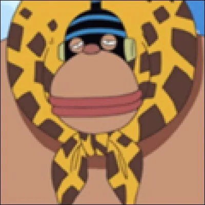 What is the name of this pirate ?