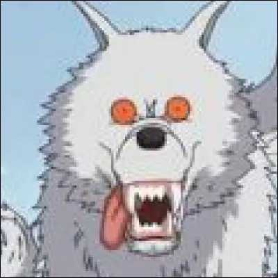 What is the name of this squad ?