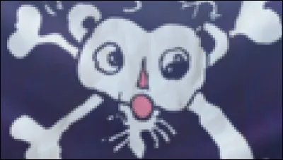 To which crew belongs this flag ?