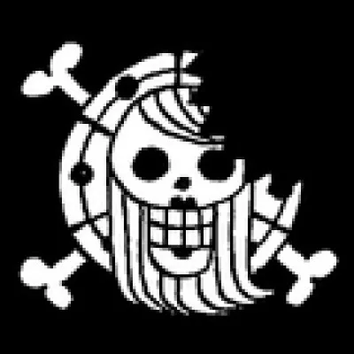 To which crew belongs this flag ?