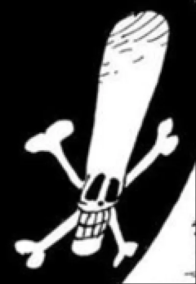 To which crew belongs this flag ?