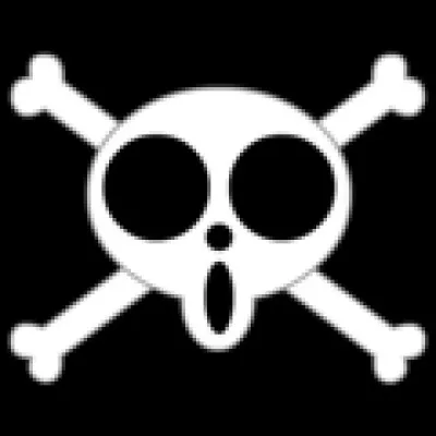 To which crew belongs this flag ?