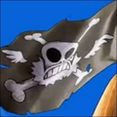 To which crew belongs this flag ?