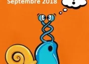 Quiz Cin2 - Tous au ciné