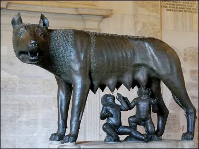 Find the animal that fed Romulus and Remus!