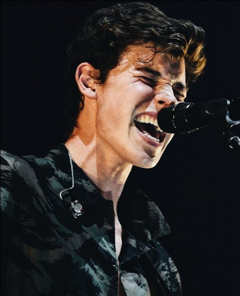 What was the first song Shawn released?