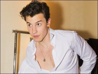 How many siblings does Shawn have?