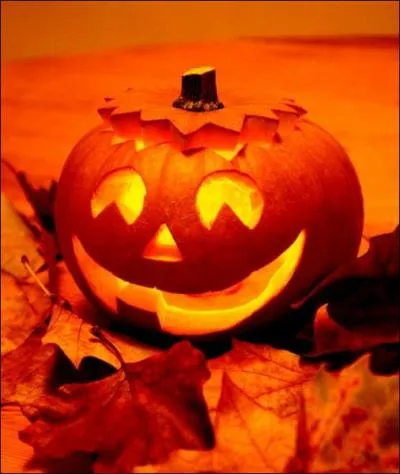 Halloween : pumpkins, ghosts, witches, ...