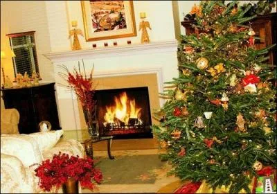 What do we call the period before Christmas?