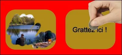 What is the correct answer?