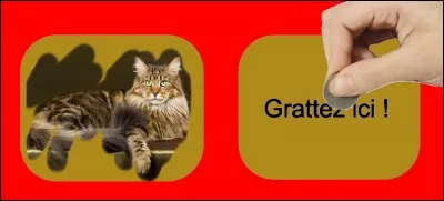 What is the correct answer?