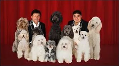 Who won the edition of 2012 ?